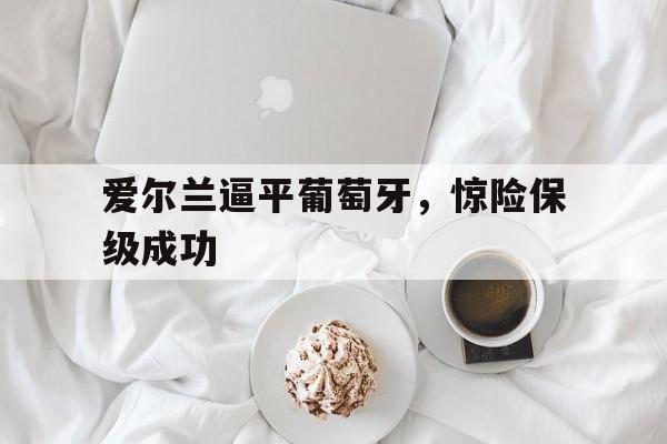 包含爱尔兰逼平葡萄牙，惊险保级成功的词条