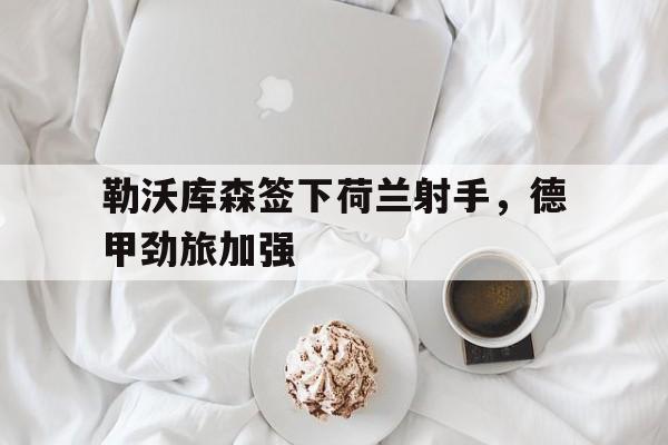 勒沃库森签下荷兰射手，德甲劲旅加强的简单介绍